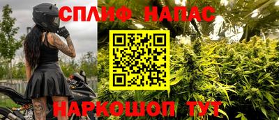 хмурый Гатчина