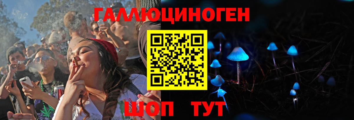 Псилоцибиновые грибы Cubensis Первоуральск